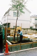No.14 姫シャラの木を植樹